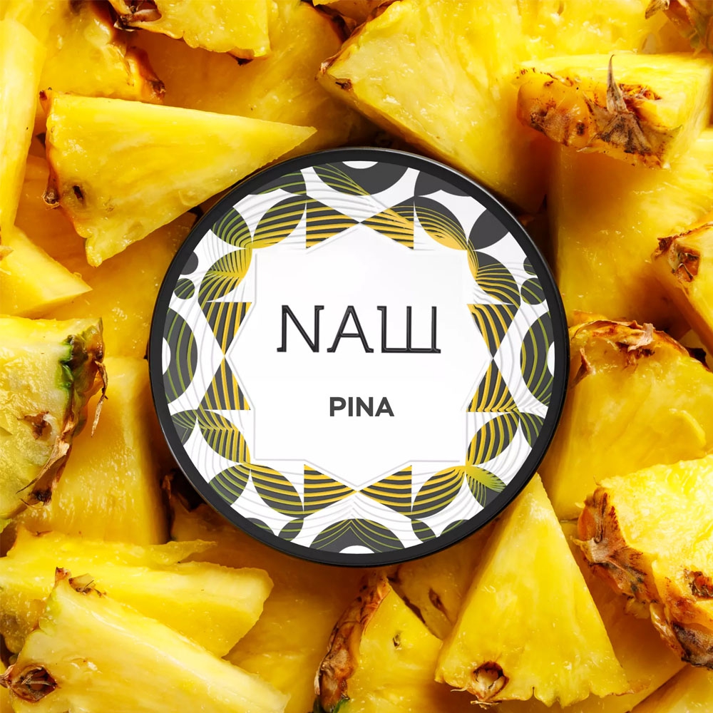 Nasch Tobacco 25g - Pina