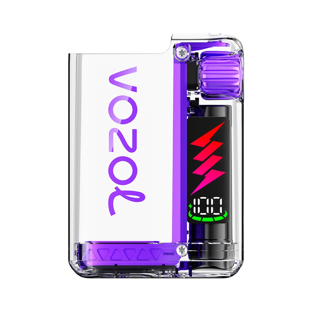 Vozol Vista Plug Basisgerät - Pink Purple