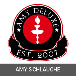 Amy Schlauch